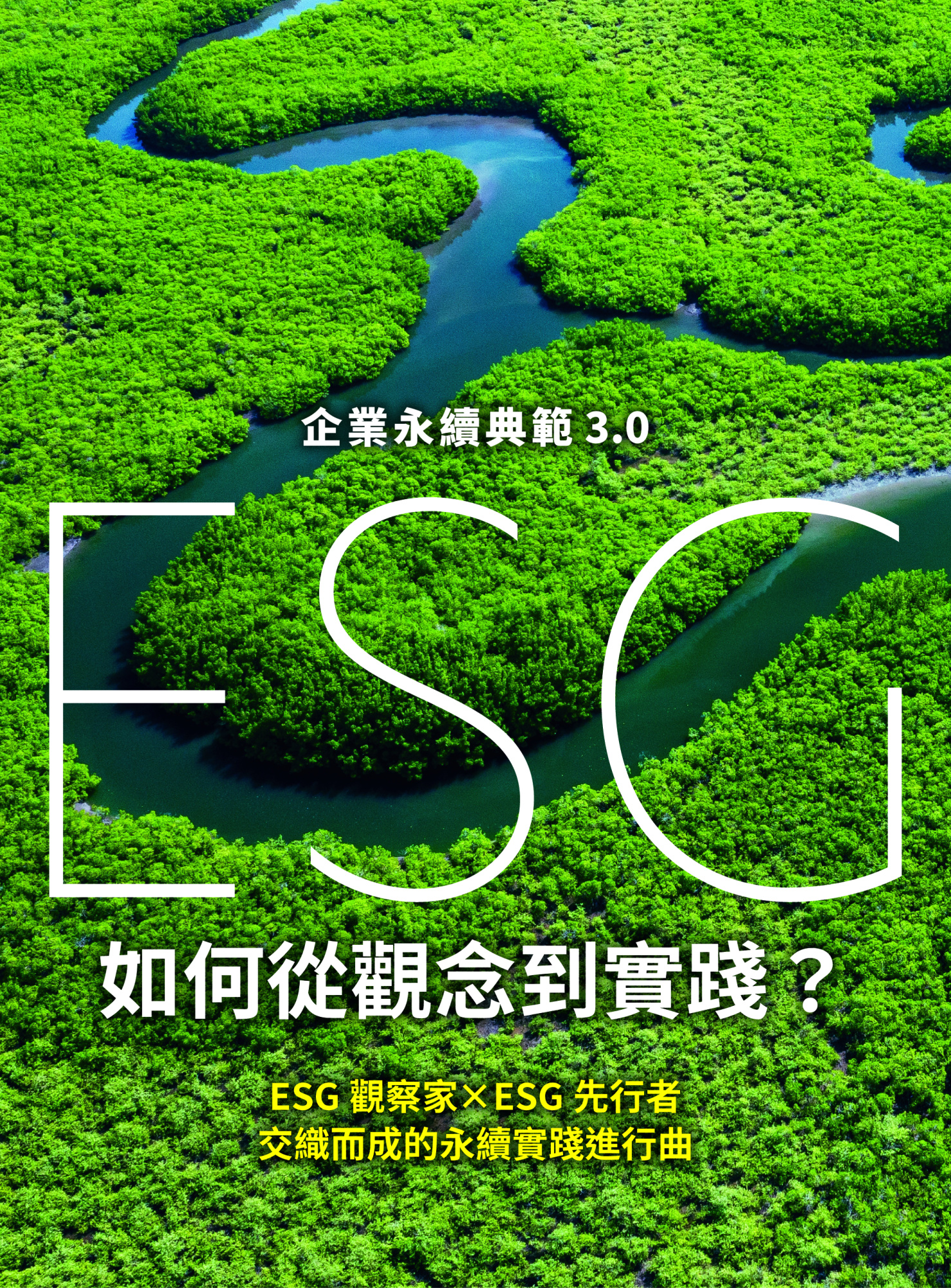 企業永續典範3.0 ESG 如何從觀念到實踐 書籍封面